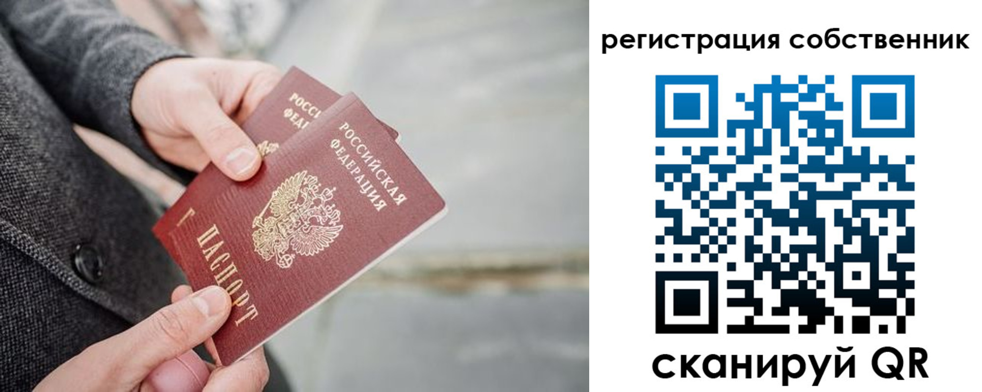 временная регистрация гарантия в Алексеевке