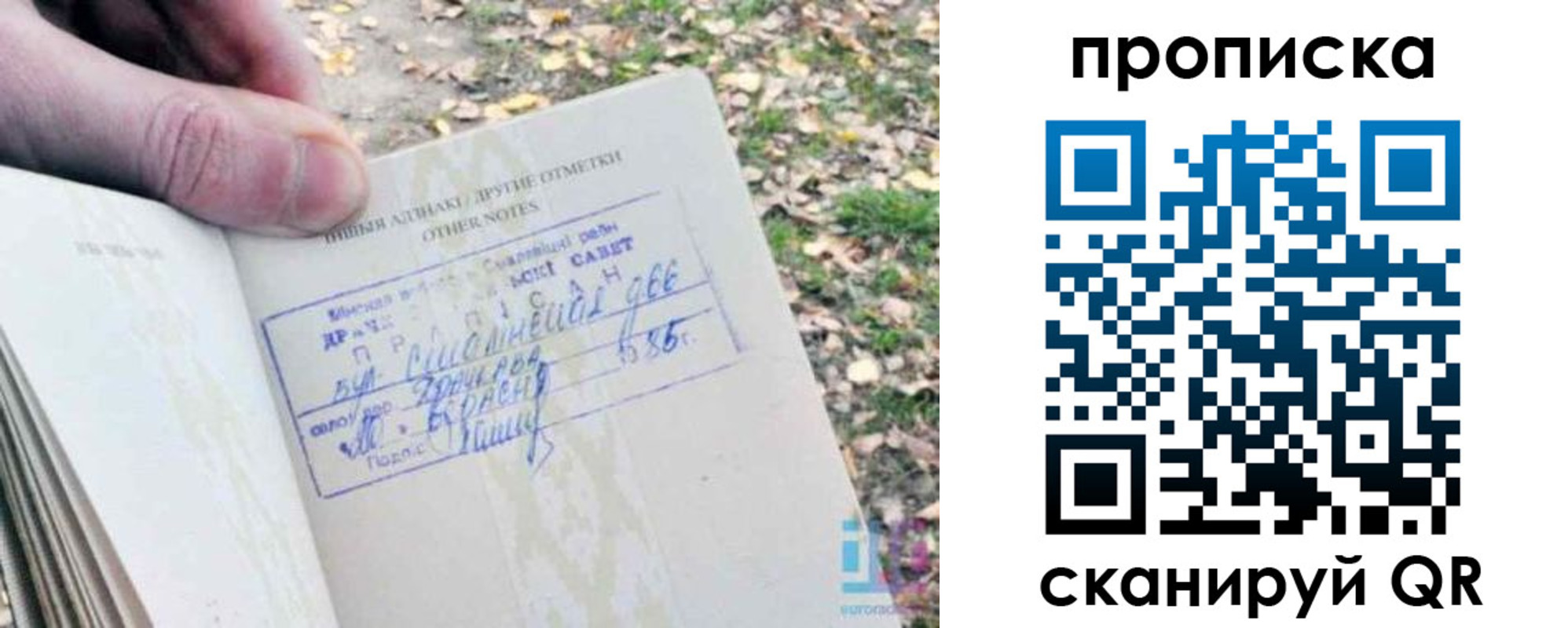прописка в квартире в Алексеевке